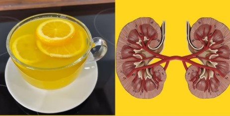 How to Cleanse Your Kidneys, Liver, and Lungs Naturally