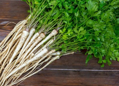 Elixir of Youth: Parsley Tightens Skin and Instantly Smoothes Wrinkles!