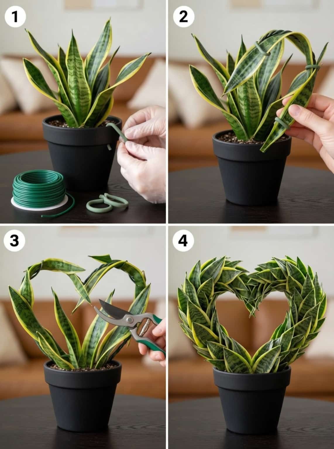 How to Make Snake Plant Heart Decor With Soft Plant Ties for a More ...